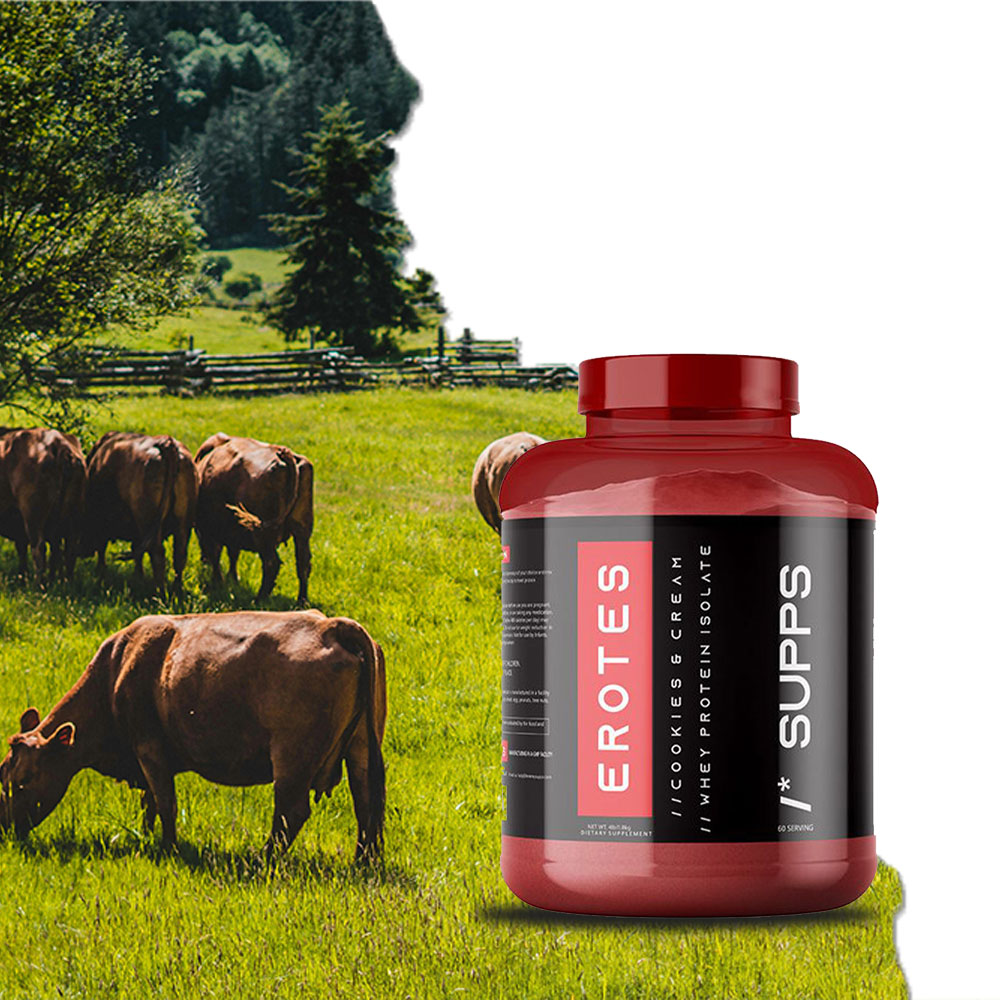 Grass-fed cows in meadow