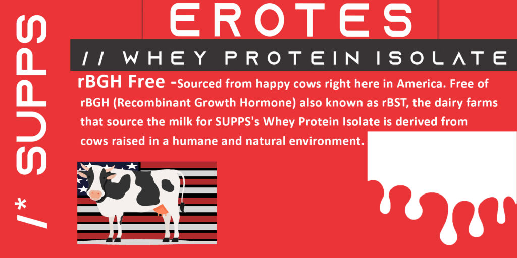 SUPPS WHEY PROTEIN